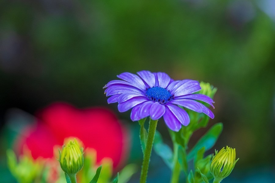 运势|9.27-10.3巨蟹座运势,凡事有明确的规划,才能防止意外情况出现