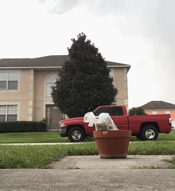 |搞笑GIF:今天周六 带女朋友去海边看看海