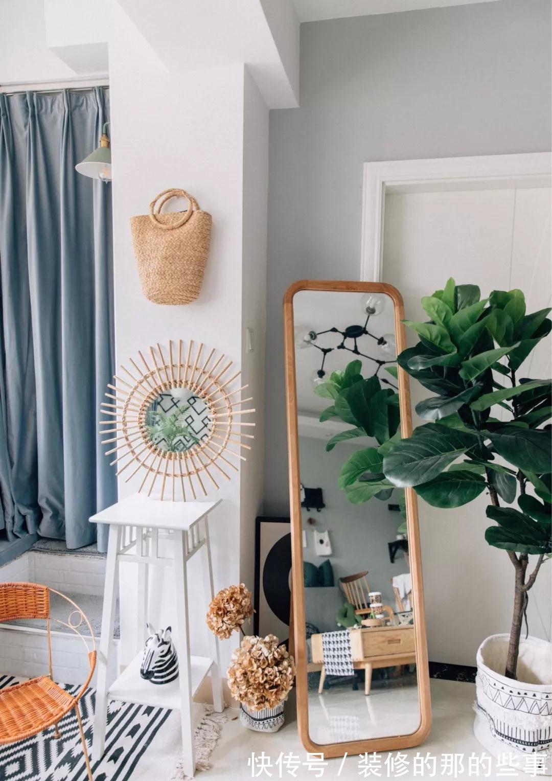 霸王蕨|你在养花，其实花也在养你，5种花养家里，比空气净化器还好用