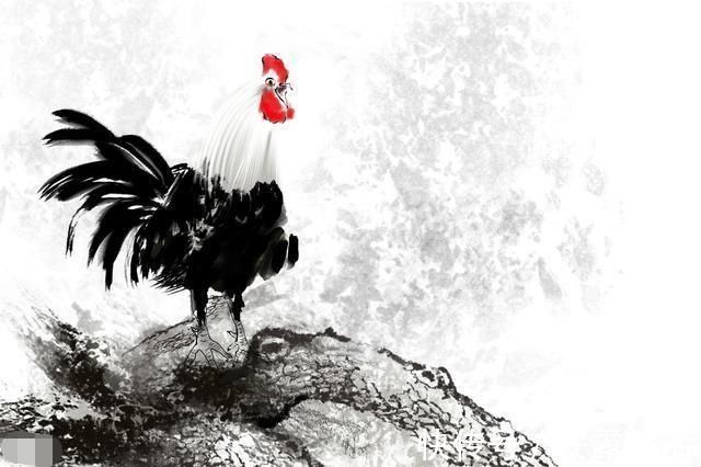 男人|这3大生肖女,命里有财,旺夫一流,男人娶了她们,想不发财都难