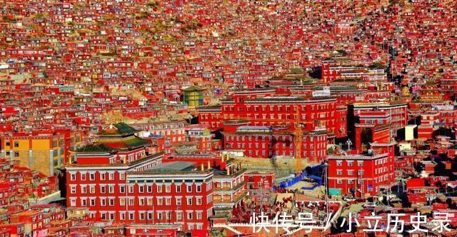 血压|为什么电子血压计不准？医生实话实说