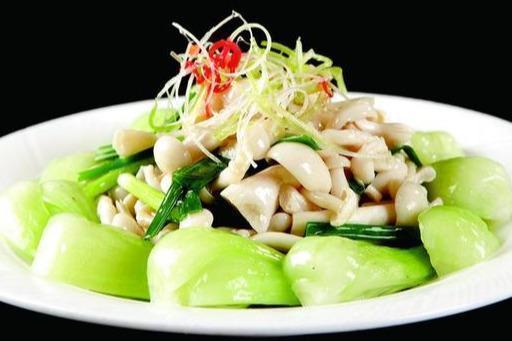 白玉菇炒青菜|美食推荐萝卜炖牛腩,葱油鲜香菇,辣椒炒猪耳,白玉菇炒青菜