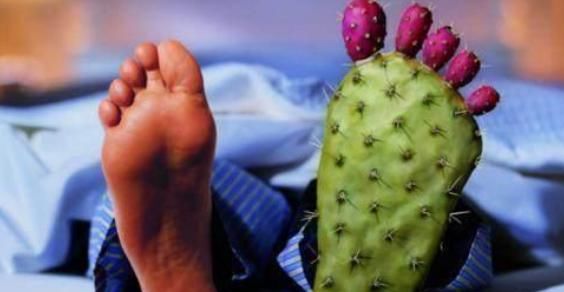 烹調方法|痛風人常吃豬肉，會讓嘌呤升高嗎？學會幾個技巧，能適當吃一些！