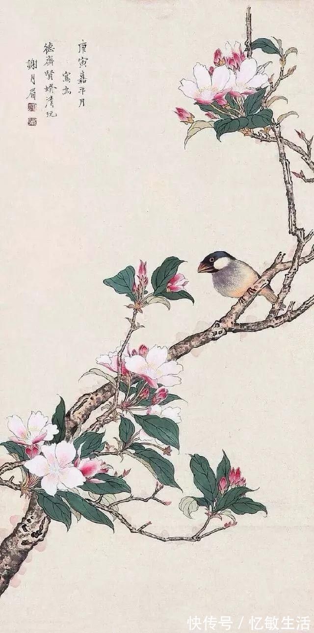 花鸟!她凭天赋自学书画,画画不到20年,却堪称“花鸟圣手”,成为一代传奇