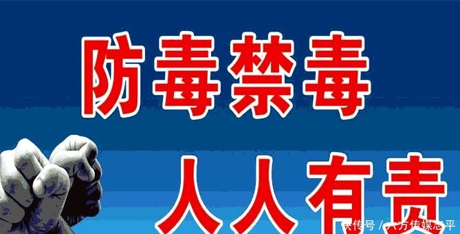 创建全域旅游示范区丨高要旅游手信篇:河台