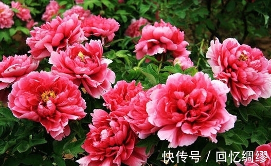 天后|2天后,目标明确,不畏艰险,贵人相助,梦想成真,升职加薪