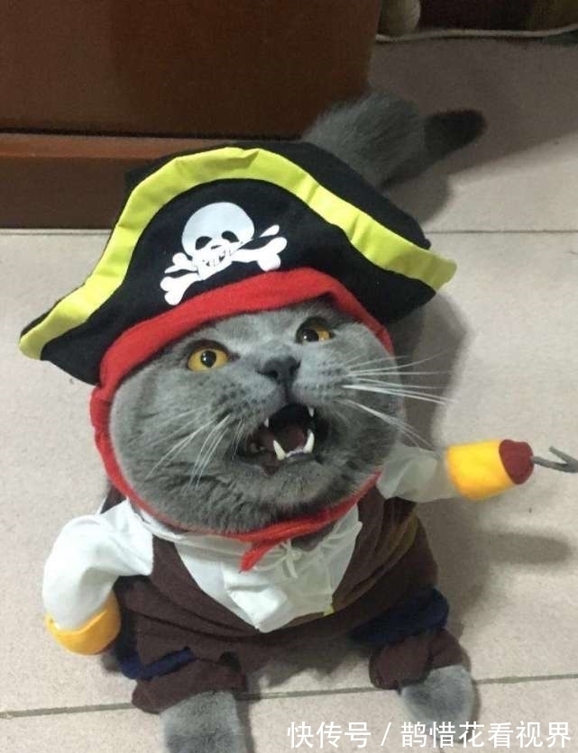 |十条笑话:媳妇在驾校成了传奇,科二练了四五天,一把过了