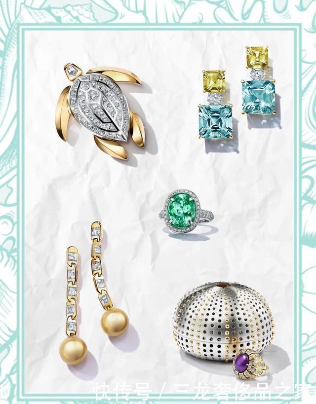 总听到“高珠”这个词!真正的高珠,到底长什么样子?!