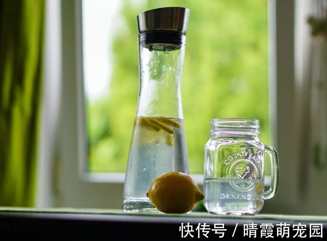 营养物质|养肝就是养命!这4个“臭毛病”不改,肝脏迟早“伤痕累累”