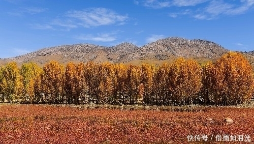 中国最美赏秋之地，雪山下的秋色美如仙境，去过的游客都直呼太美！