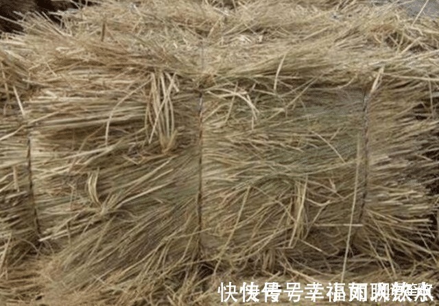 寒冬@明代以前没有棉被,古人是如何度过寒冬的老祖宗真有才