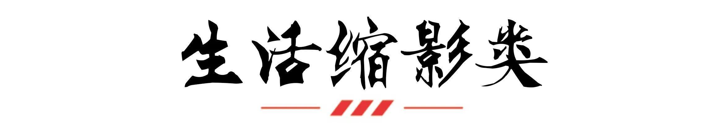 安徽奇遇：饭桶武器炮弹门外放，金丝楠木当饭桌，古懂家具当破烂