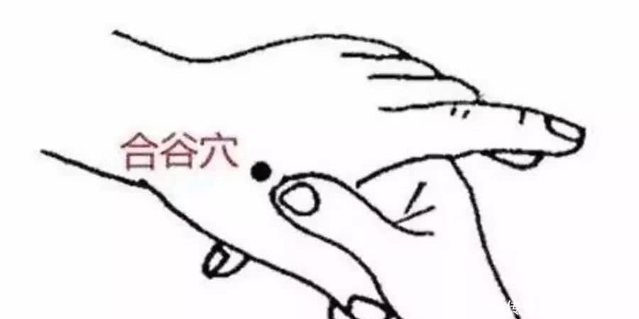 针灸大成|夹虎口治偏头痛有奇效？按摩穴位可缓解疼痛但不能盲从