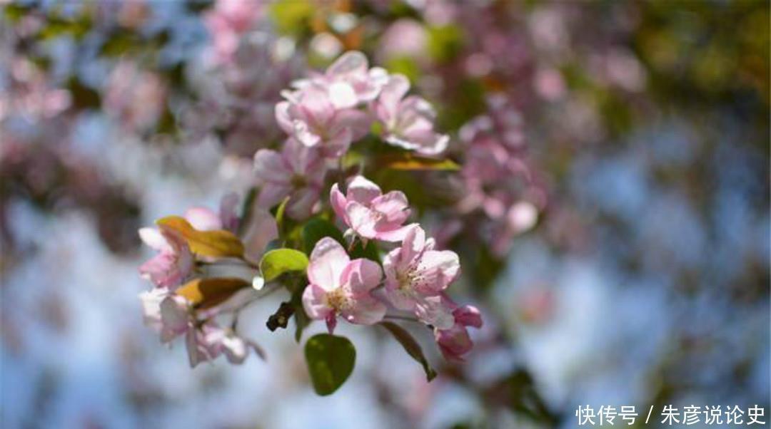 春梦@白居易这首诗看似明如白话,千百年来却争议不断,无人能解释清楚