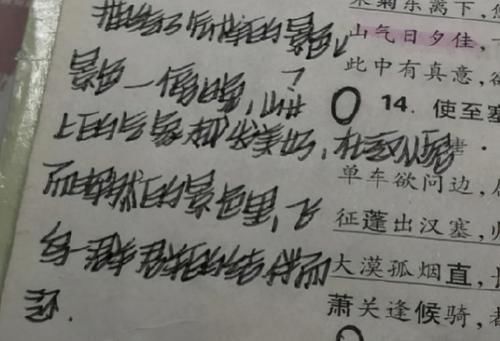 网红$网红字体风靡中学,奶酪体、鲸落体已过时,加强版“豆腐体”来了