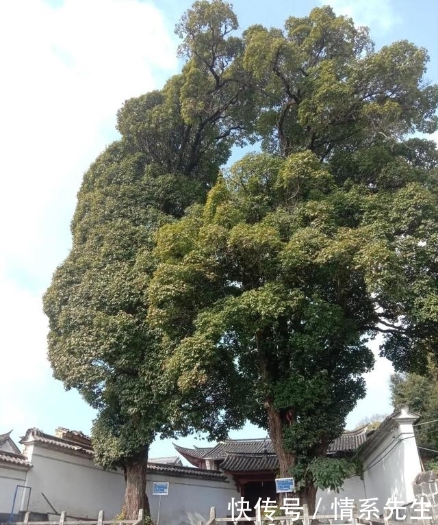 腾冲华严寺，古寺流烟暮色影