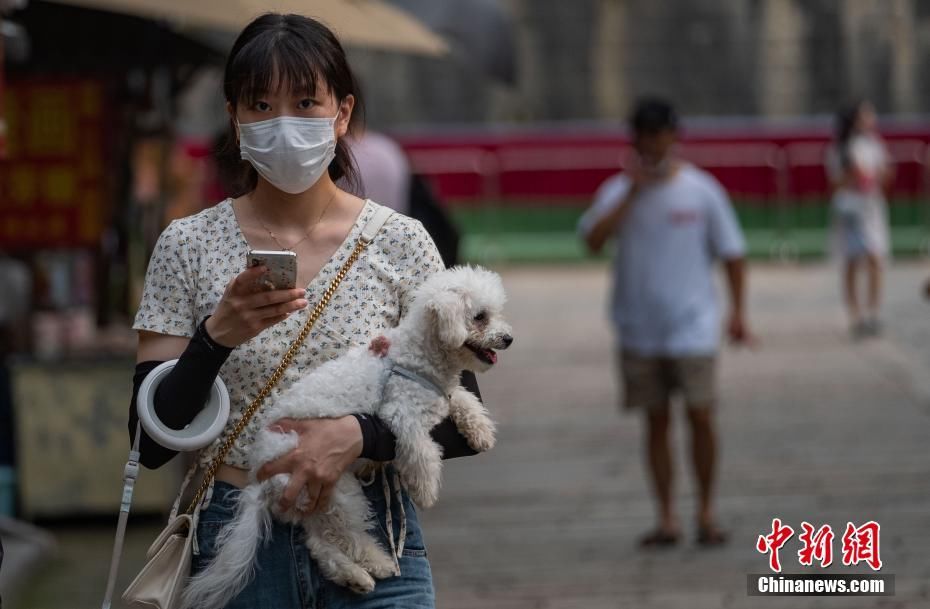 游玩|南京全面转为低风险地区 城南景区恢复开放