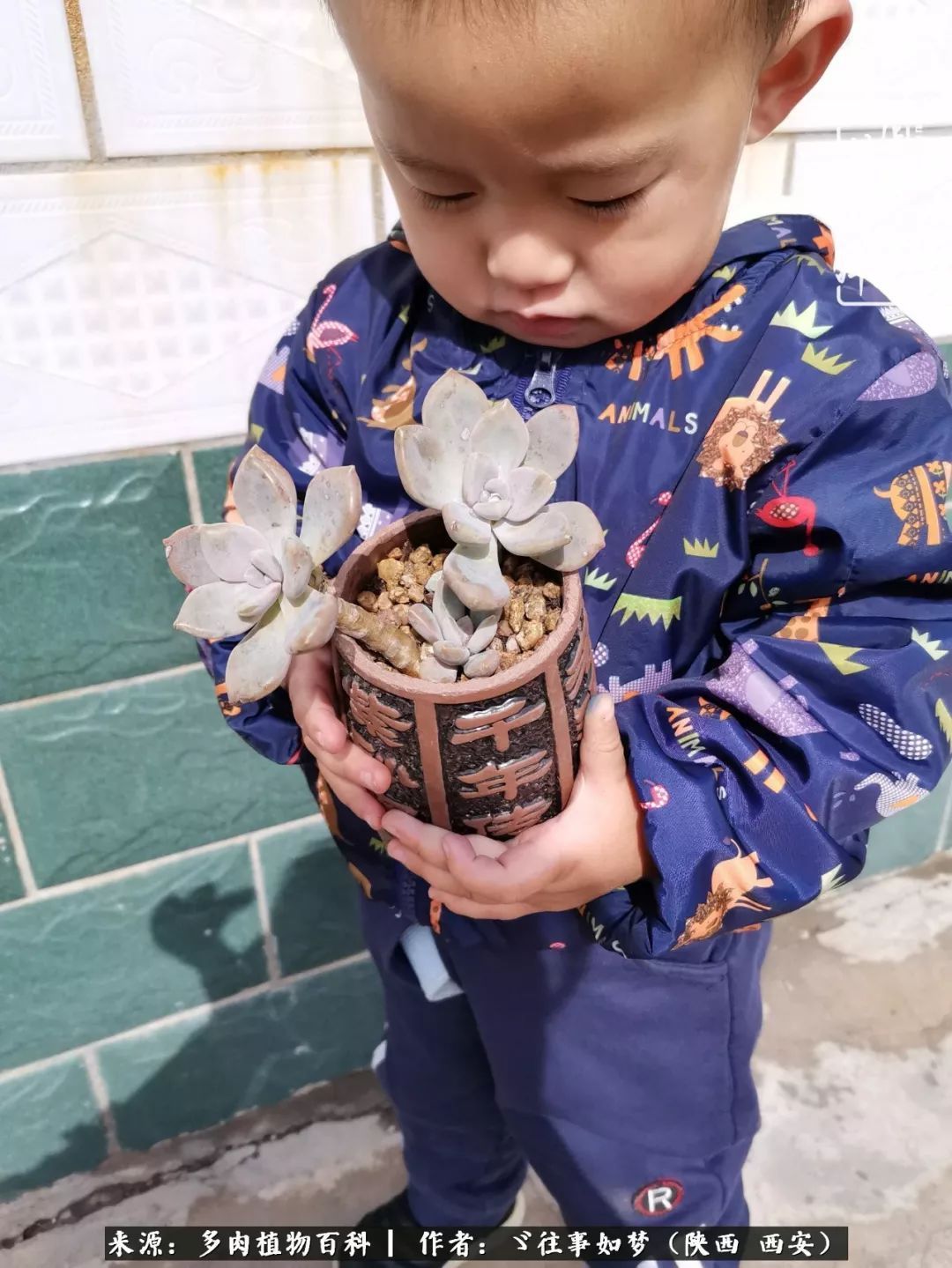 愿你付出甘之如饴，愿你所得归于欢喜！