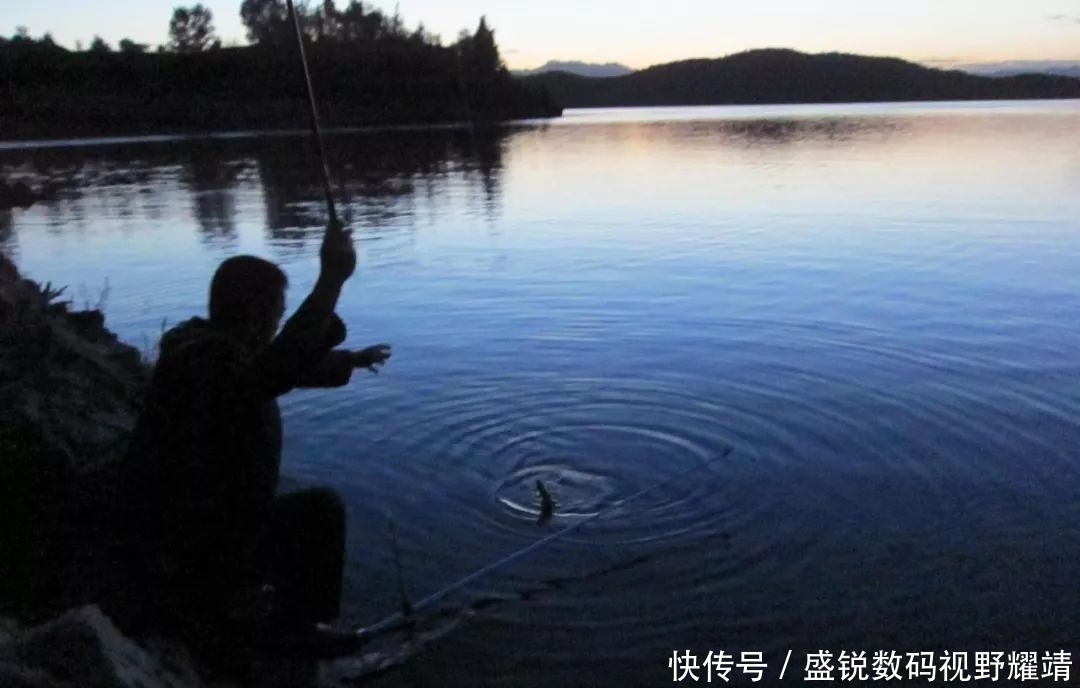 电子|夜钓用灯还是用漂,看完这一篇就知道了