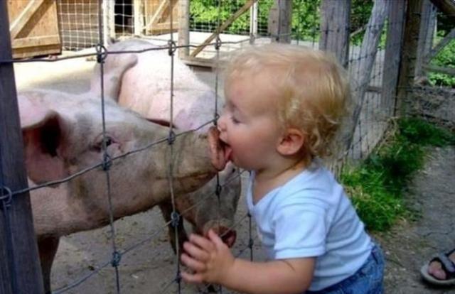 猪猪|孩子静悄悄,必定在作妖,家有神兽,爸妈们要打起精神啊