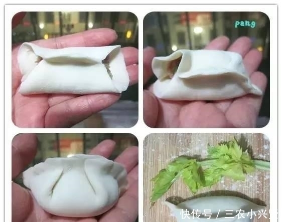 猪肉馅|13种饺子馅料配方+14种包饺子方法, 喜欢的就学习一下吧!