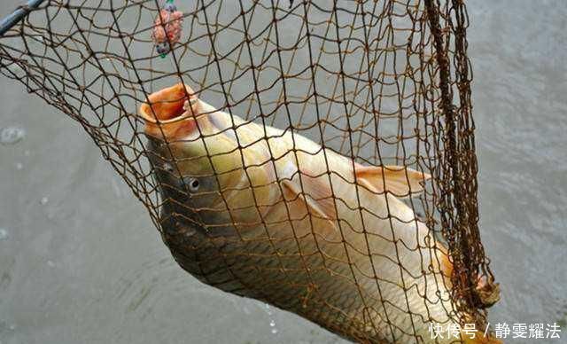 再三提醒这3个钓点老钓友从来不去,逢钓必空军,莫忽视哦