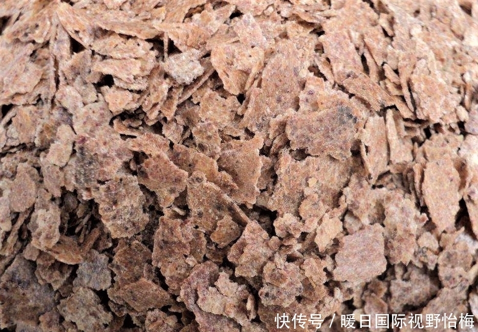 菜籽饼|夏天钓鲤鱼,不用花冤枉钱买窝料,你身边就有