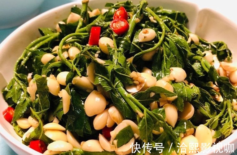 开胃|这种树叶子比嫩香椿还香,吃过的人不多,简单拌一拌,好吃又开胃