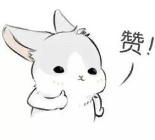 义工服务队|这一抹蓝，遍布珠海大街小巷...