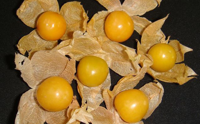 维生素b|对身体很好的三种食物,女性常吃,刮油消脂,补水润肤,延缓衰老