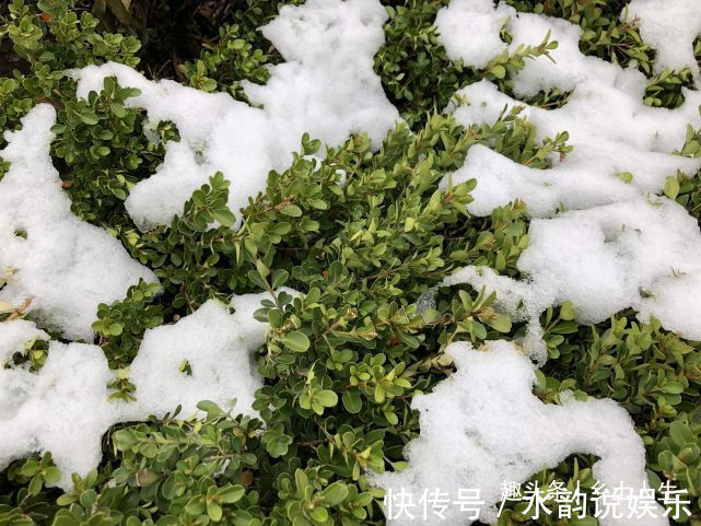 春寒吗俗语惊蛰天气暖,寒在春分半,啥意思