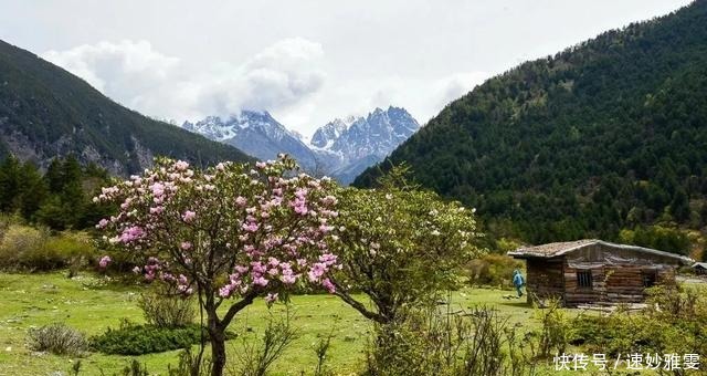 川西3日游｜赏雪山花海、瞰红石奇观、泡天然温泉…一路风光美绝