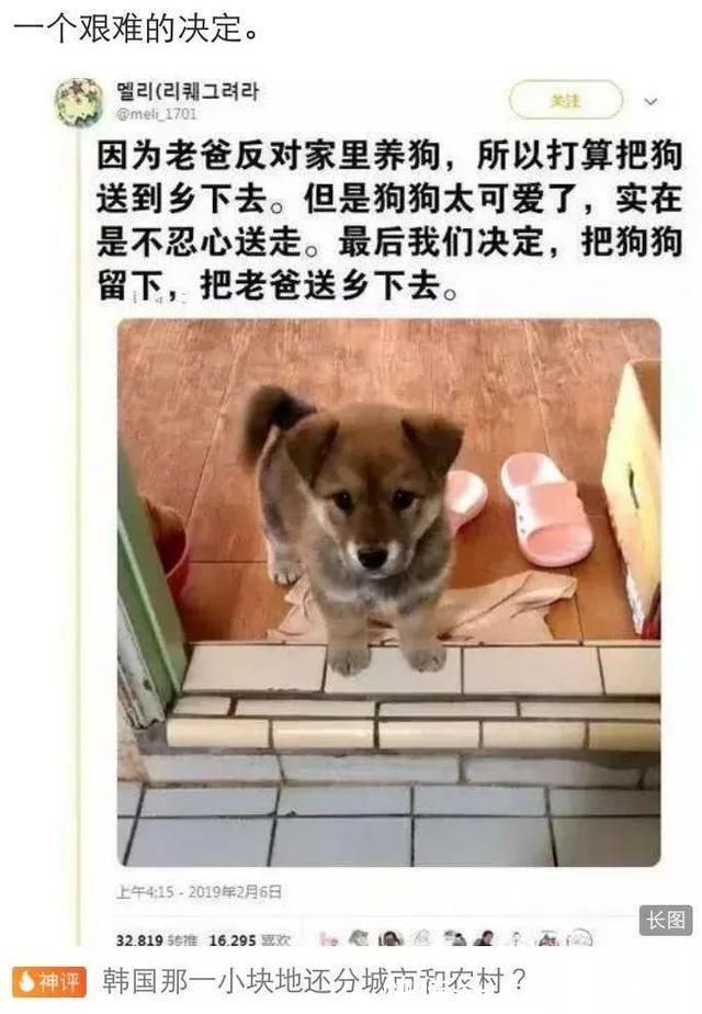 |搞笑“神评论”大盘点(1),网友:脑洞太大跟不上