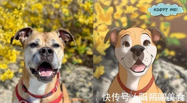 宠物照|迪士尼化宠物照,画家笔下的小家伙们就像是动画片中的角色一样