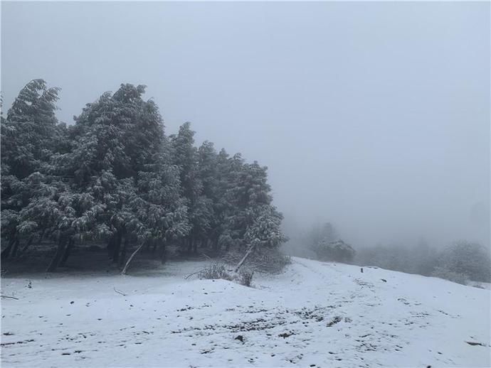 中年|仙女山迎来入春以来最大一次降雪