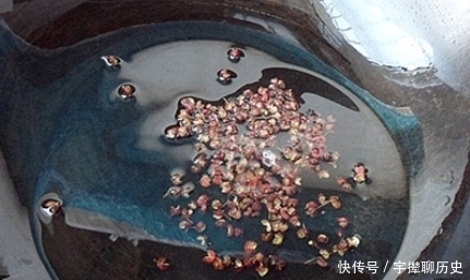 生油|调饺子馅儿,放生油还是熟油?很多人都做错了,难怪味道不够鲜香