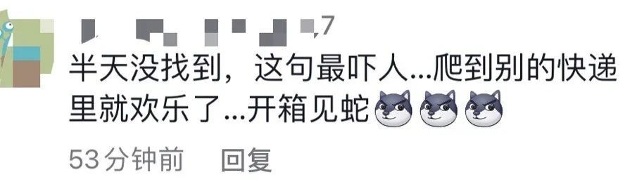 惊现|魂飞魄散！小伙拆快递惊现黑色大蛇，快递点：包裹已经放了一个多星期了