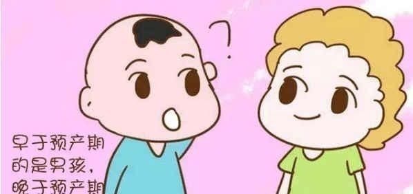爱动|为什么男宝宝爱提前出生“早生贵子”有没有道理