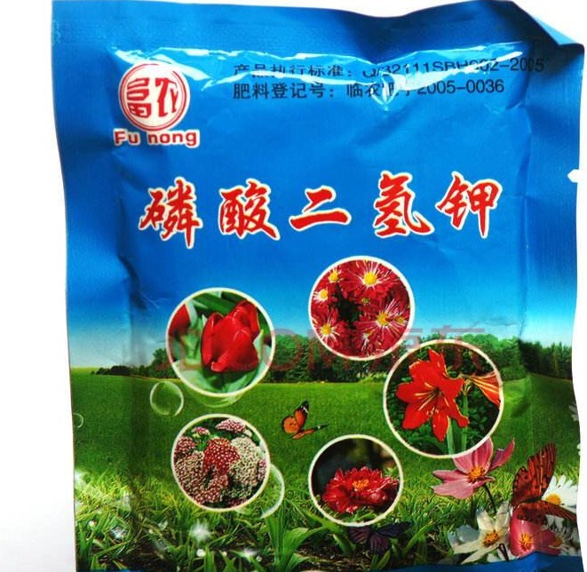 王大爷养君子兰,1年只用2种肥料,叶子翠绿开花多