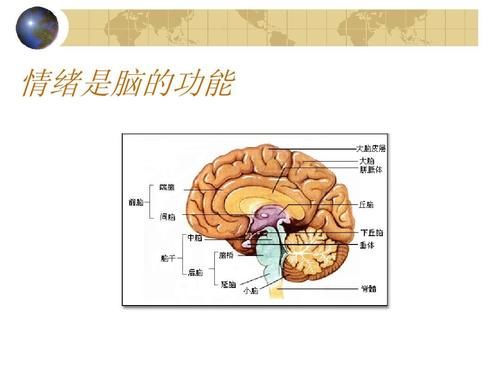 引导|孩子不顺心就哭闹？心理专家：“情绪脑”发育的表现