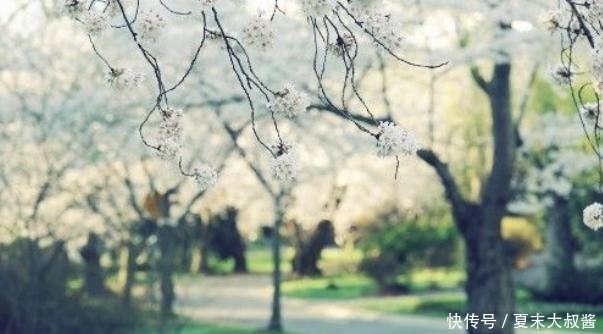 永存|未来两周，花开不落，大放异彩，不期而遇，真爱永存，深情永不改