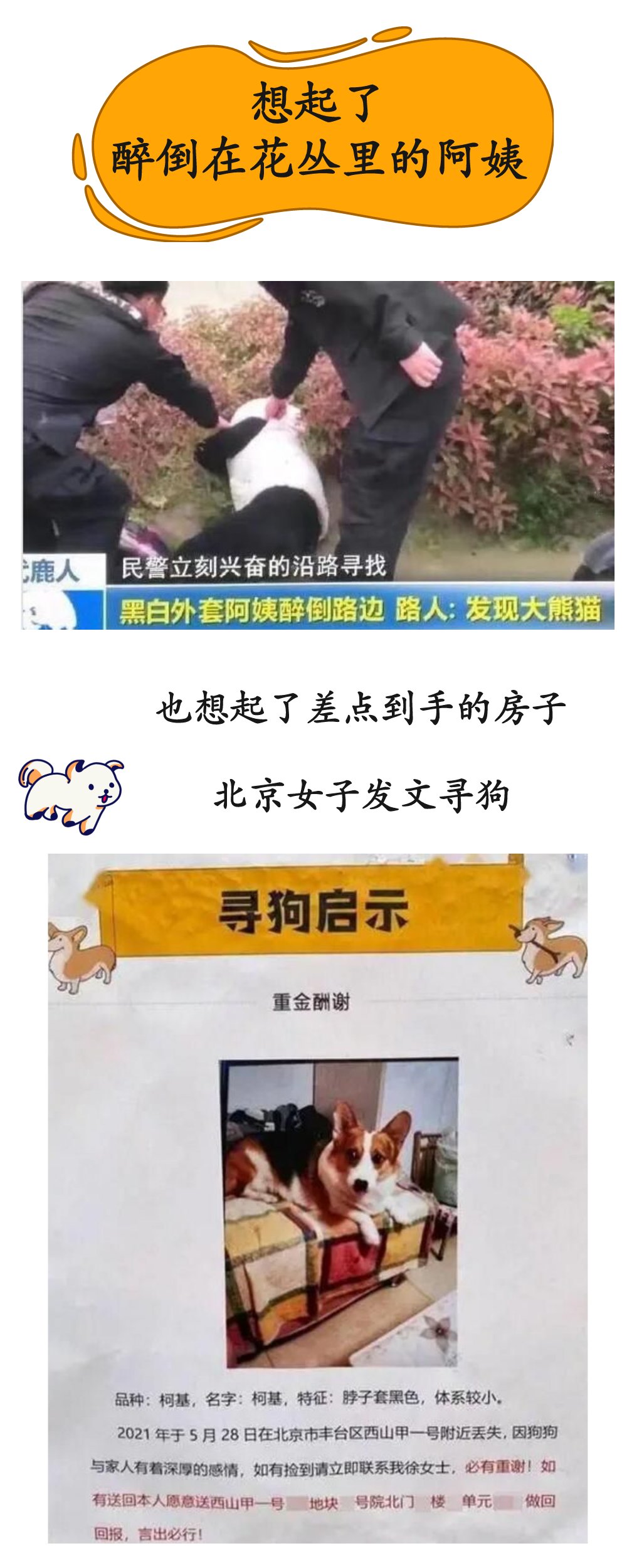 壕！女子发寻狗启事 送北京一处房产？|一周冰纷播| 北京