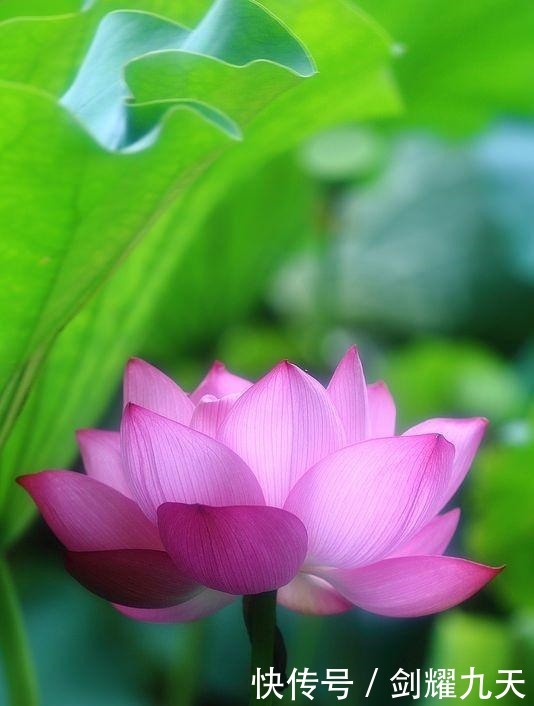 充满正能量的人生哲理语录,精辟透彻,让人幡然醒悟!