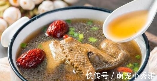 红枣|一鸽胜九鸡,鸽子汤怎样做才好喝?试试此做法,肉嫩汤鲜,太香了