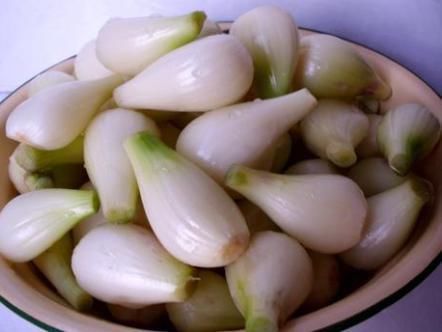 田中角荣|像葱又像蒜,北方很少人认识,出口日本成高端菜,被誉为菜中灵芝