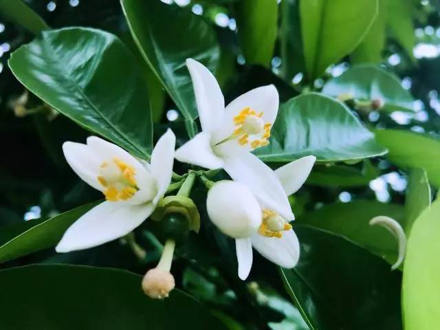 刘媛媛#读书的厚度,决定了人生的高度