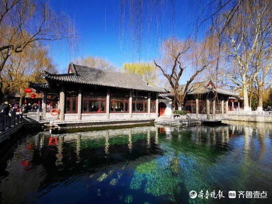 美图|情报站｜“犇”向春天！济南趵突泉的气质蓝上线，碧空如洗美翻了