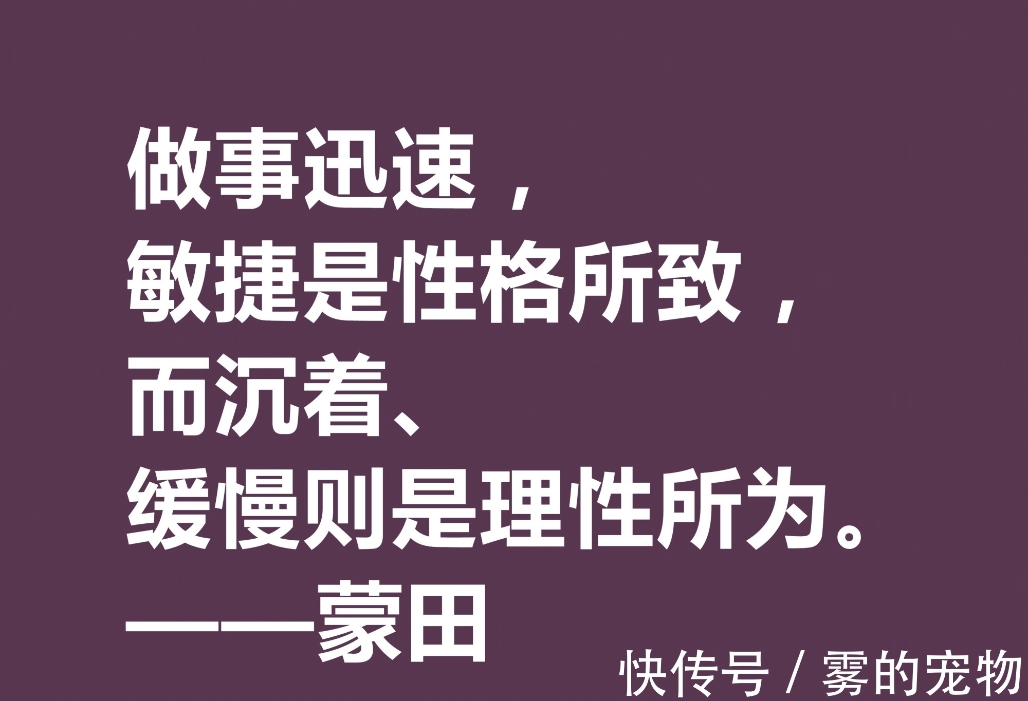 自由精神#他以研究人生与人性著称，蒙田这十句格言，充满大智慧和自由精神