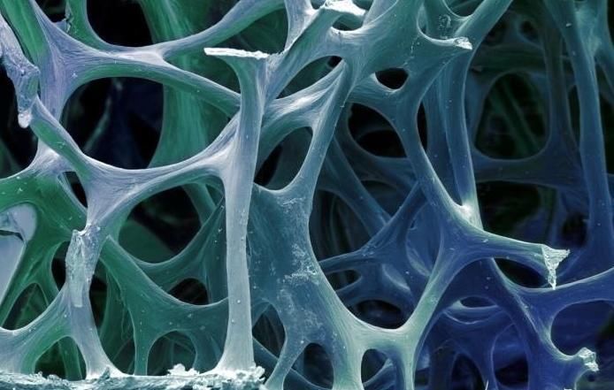 老爷子|109岁老人,骨骼仅59岁,长寿秘诀不是常运动,而是这3件事