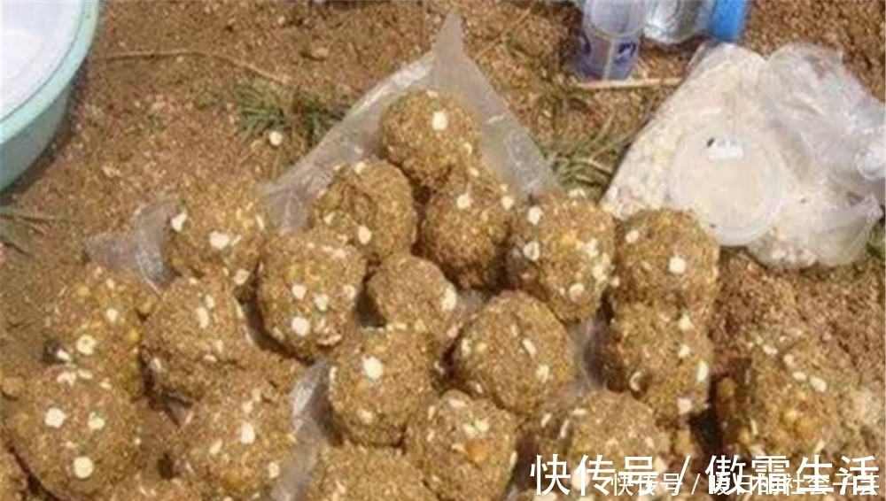 豆饼块|打窝聚鱼不能慢人一步,这样打窝发窝快速,上鱼快人一步!